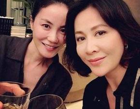 刘嘉玲爆料视频在线观看,揭秘娱乐圈不为人知的一面